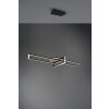 Trio Salinas Hanglamp LED Zwart, 1-licht