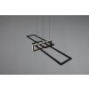 Trio Salinas Hanglamp LED Zwart, 1-licht