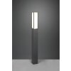 Trio Fuerte Padverlichting LED Antraciet, 1-licht