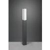 Trio Fuerte Padverlichting LED Antraciet, 1-licht