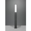 Trio Fuerte Padverlichting LED Antraciet, 1-licht