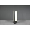 Trio Fuerte Padverlichting LED Antraciet, 1-licht