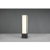 Trio Fuerte Padverlichting LED Antraciet, 1-licht