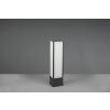 Trio Fuerte Padverlichting LED Antraciet, 1-licht
