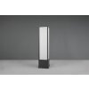 Trio Fuerte Padverlichting LED Antraciet, 1-licht