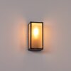 Hakkas Buiten muurverlichting Zwart, Zilver, 1-licht