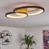 Baiyin Plafondlamp LED Goud, 1-licht