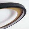 Baiyin Plafondlamp LED Goud, 1-licht