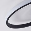 Ignal Plafondlamp LED Zwart, 1-licht