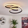 Ignal Plafondlamp LED Zwart, 1-licht