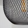 Jacinta Hanger Zwart, 1-licht