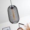 Jacinta Hanger Zwart, 1-licht