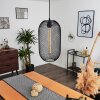 Jacinta Hanger Zwart, 1-licht