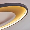 Tuzik Plafondlamp LED Goud, Zwart, 1-licht