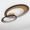Tuzik Plafondlamp LED Goud, Zwart, 1-licht