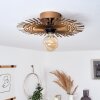 Julie Plafondlamp Goud, Zwart, 1-licht