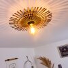 Julie Plafondlamp Goud, Zwart, 1-licht