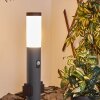 Gaborone Padverlichting Antraciet, 1-licht, Bewegingsmelder