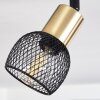 Cairns Plafondlamp Oud messing, Zwart, 2-lichts