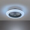 Reality Stralsund plafondventilator LED Zwart, 1-licht, Afstandsbediening