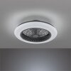 Reality Stralsund plafondventilator LED Zwart, 1-licht, Afstandsbediening