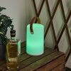 Tacuala Tafellamp voor buiten LED Bruin, Wit, 1-licht, Kleurwisselaar