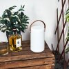 Tacuala Tafellamp voor buiten LED Bruin, Wit, 1-licht, Kleurwisselaar