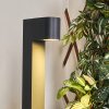 Kingstown Padverlichting Antraciet, 1-licht