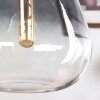 Coapilla Hanger Zwart, 1-licht