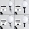 Campinas Kogellamp LED Zwart, Wit, 1-licht