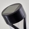 Lakeland Solarlamp LED Antraciet, 1-licht