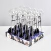 Hilda Zonnelamp set van 12 LED Chroom, 20-lichts