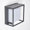 Lansing Buiten muurverlichting LED Antraciet, 1-licht, Bewegingsmelder