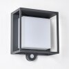 Lansing Buiten muurverlichting LED Antraciet, 1-licht, Bewegingsmelder