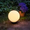 Campinas Kogellamp LED Zwart, Wit, 1-licht