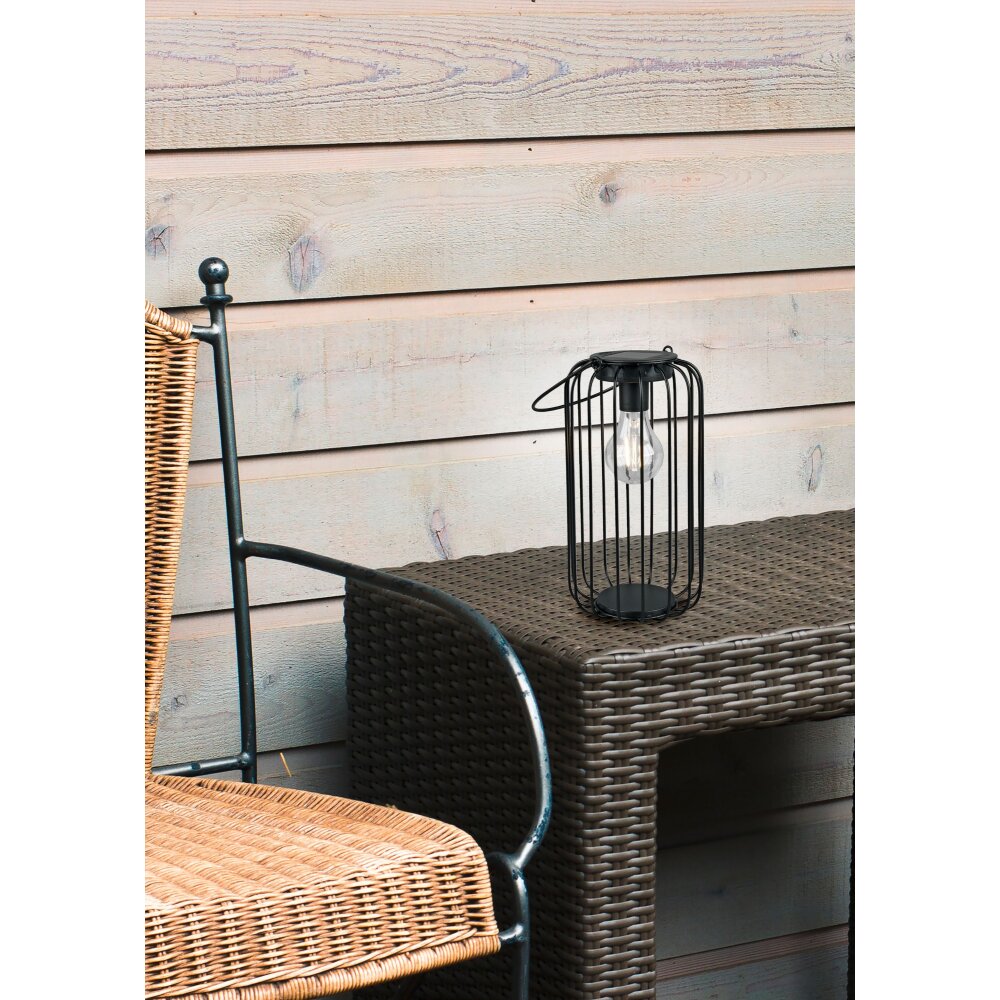 Reality Cotoca Solarlamp LED Zwart, 1-licht main product photo