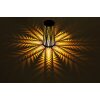 Globo Solarlamp LED Zwart, 1-licht