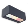 Lutec GEMINI Buiten muurverlichting LED Antraciet, 2-lichts, Kleurwisselaar