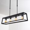 Foss Hanglamp Zwart, 4-lichts
