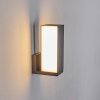 Swanek Buiten muurverlichting LED Antraciet, 1-licht