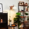 Parlier Muurlamp Hout licht, Wit, 1-licht