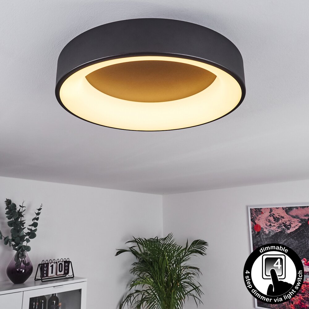 Pine Plafondlamp LED Zwart, 1-licht main product photo