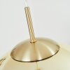 Degevos Hanger Goud, 1-licht