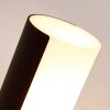Baulund Buiten muurverlichting LED Zwart, 1-licht