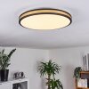 Kirtland Plafondpaneel LED Goud, Zwart, 1-licht