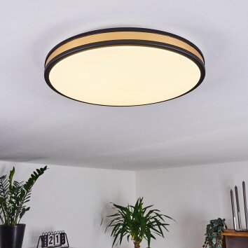 Kirtland Plafondpaneel LED Goud, Zwart, 1-licht