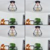 Denno Plafondlamp Koperkleurig, Zwart, 1-licht