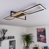 Omega Plafondlamp LED Zwart, 1-licht