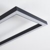 Omega Plafondlamp LED Zwart, 1-licht