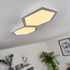Fanebal Plafondpaneel LED Wit, 1-licht